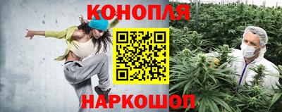 стаф Гусев