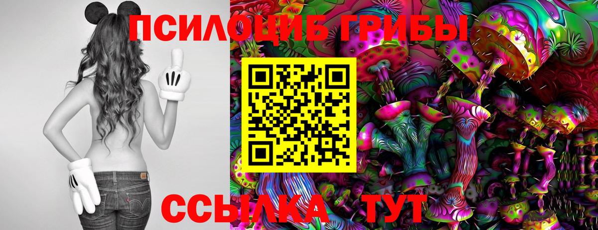 Мурино  Галлюциногенные грибы Cubensis  Вход с VPN 